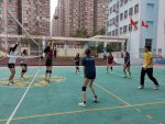 IMG_20240229_133411.jpg