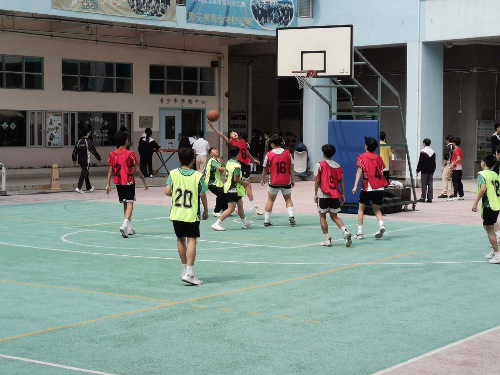 IMG_20240308_134819.jpg