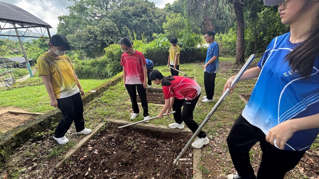 WhatsApp Image 2025-06-23 at 1.29.42 PM.jpeg