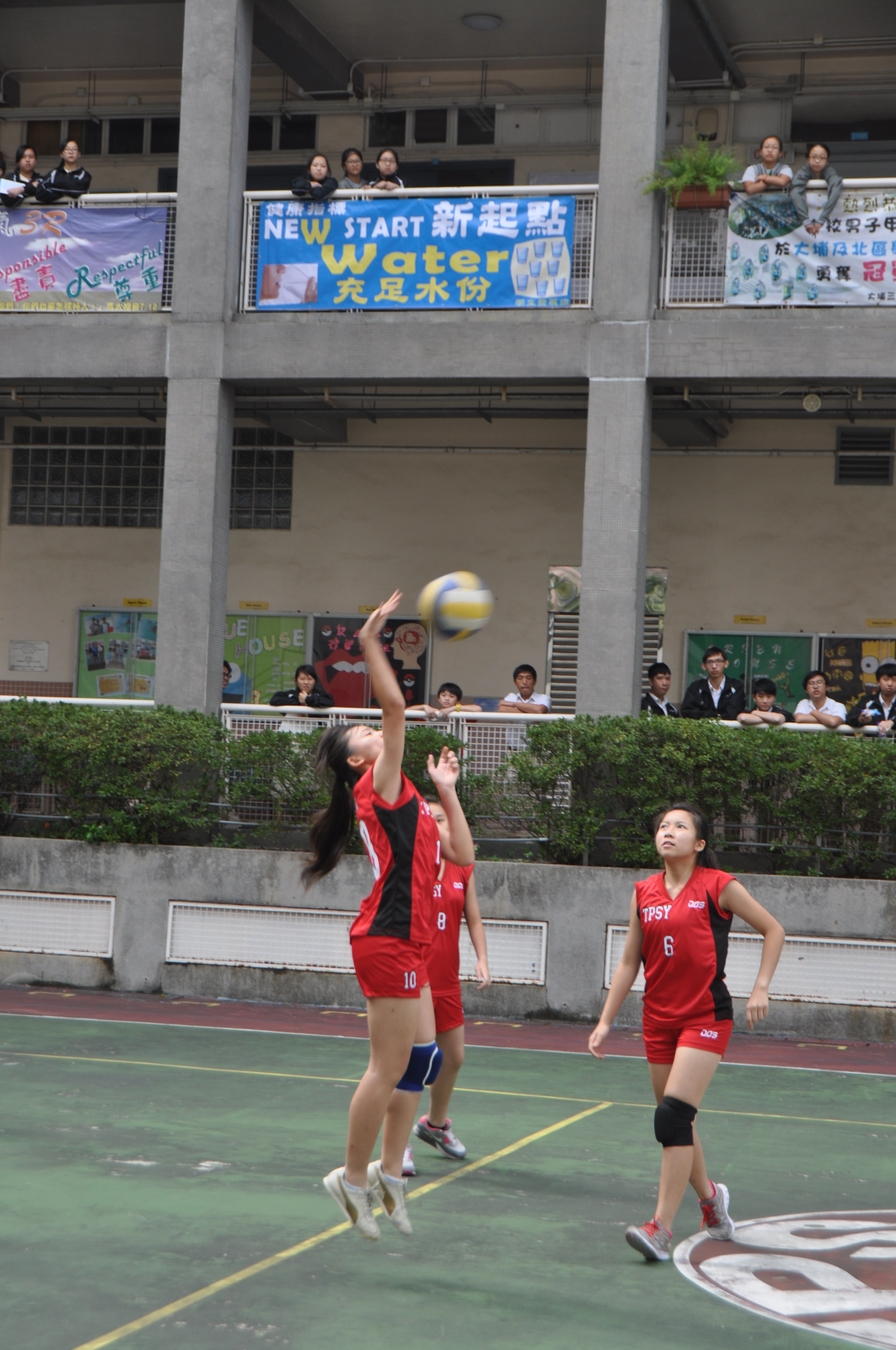 DSC_0190.JPG