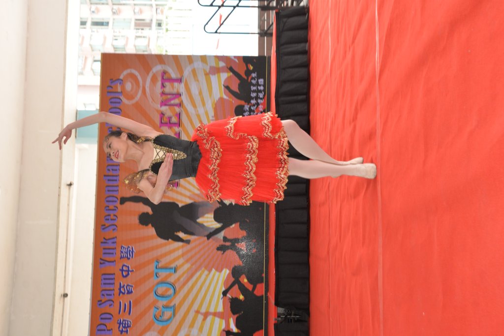 DSC_9553.JPG