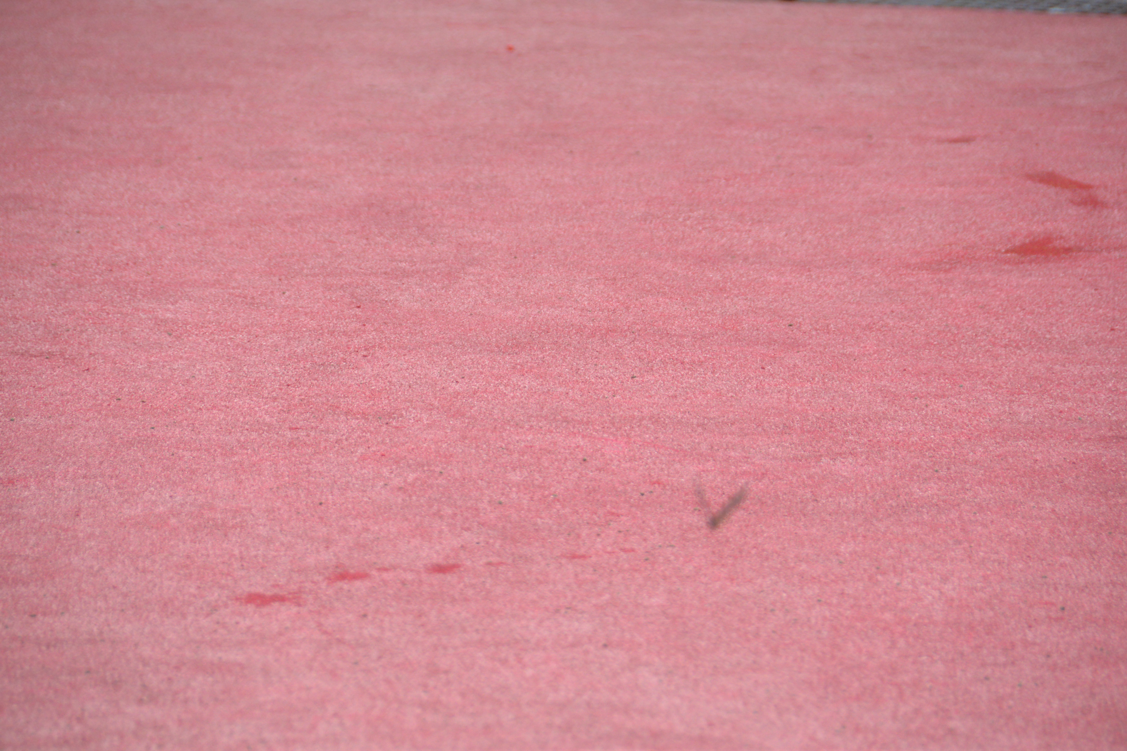 DSC_4079.JPG