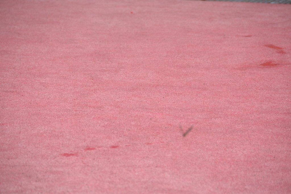 DSC_4079.JPG