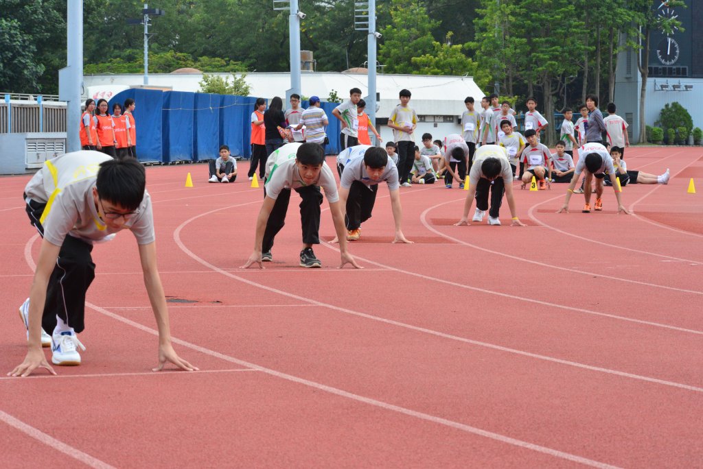 DSC_0924.JPG